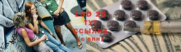 стафф Алзамай