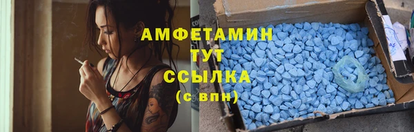 стафф Алзамай