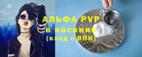 стафф Алзамай