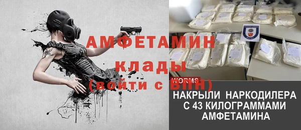 стафф Алзамай